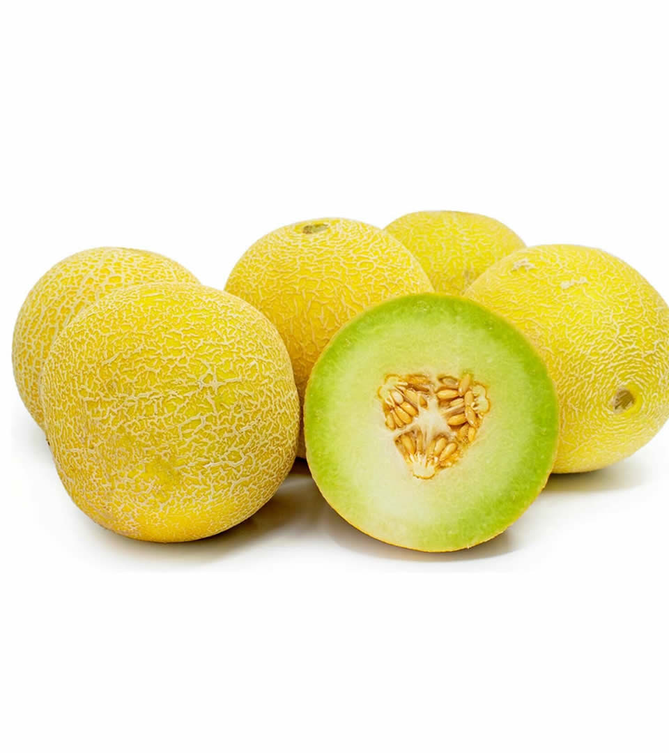 sweet melon fruit